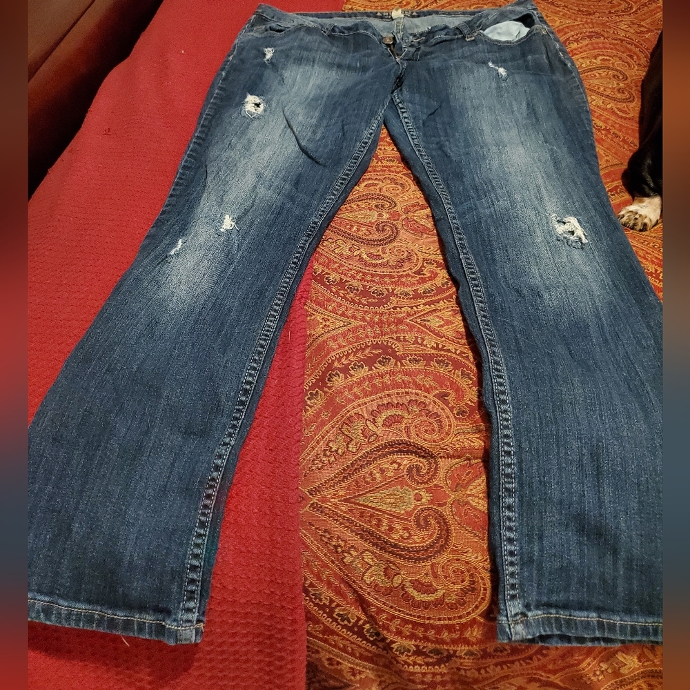 Arizona jeans size 17 average